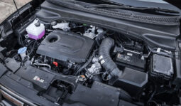 
										Hyundai Creta full									